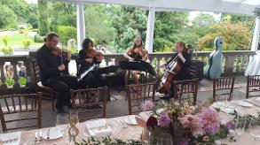 GTA Strings - String Quartet Toronto - Graydon Hall